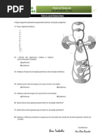 Ficha Trabalho Circulação