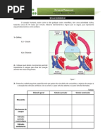 Ficha Trabalho - ciclo Cardíaco