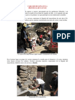 Cargado de leña del 4 de agosto del 2010- Provincia de Yauyos- Lima.pdf