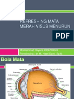 Refreshing Mata Merah Visus Menurun