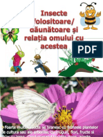 Insecte Daunatoare Si Folositoare