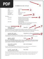 Curriculum Vitae Jos Intermediair 2013.02 PDF