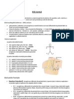 LP 01 - ECG Normal 1