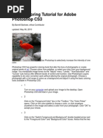 Basic Coloring Tutorial For Adobe Photoshop CS3