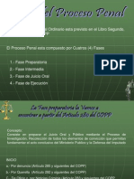 113515359 Fases Del Proceso Penal Venezolano