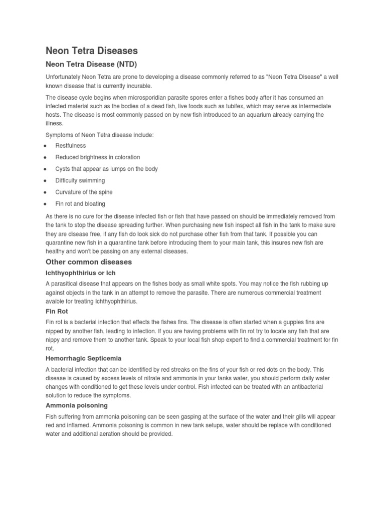 Neon Tetra Disease Prevention Via Temperature Control preview