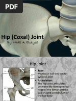 Hip Examination – Osce Guide