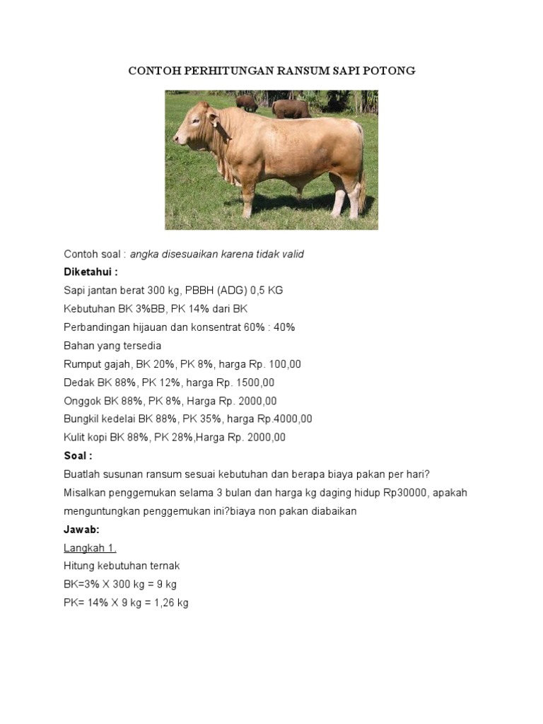 Perhitungan Ransum Sapi Potong 300 kg | PDF