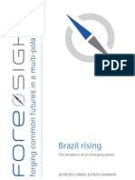 Brazil Rising. The Prospects of An Emerging Power