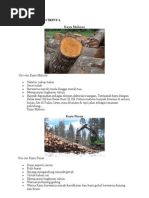 Download Ciri Ciri Kayu by Dian Aribowo SN124621598 doc pdf