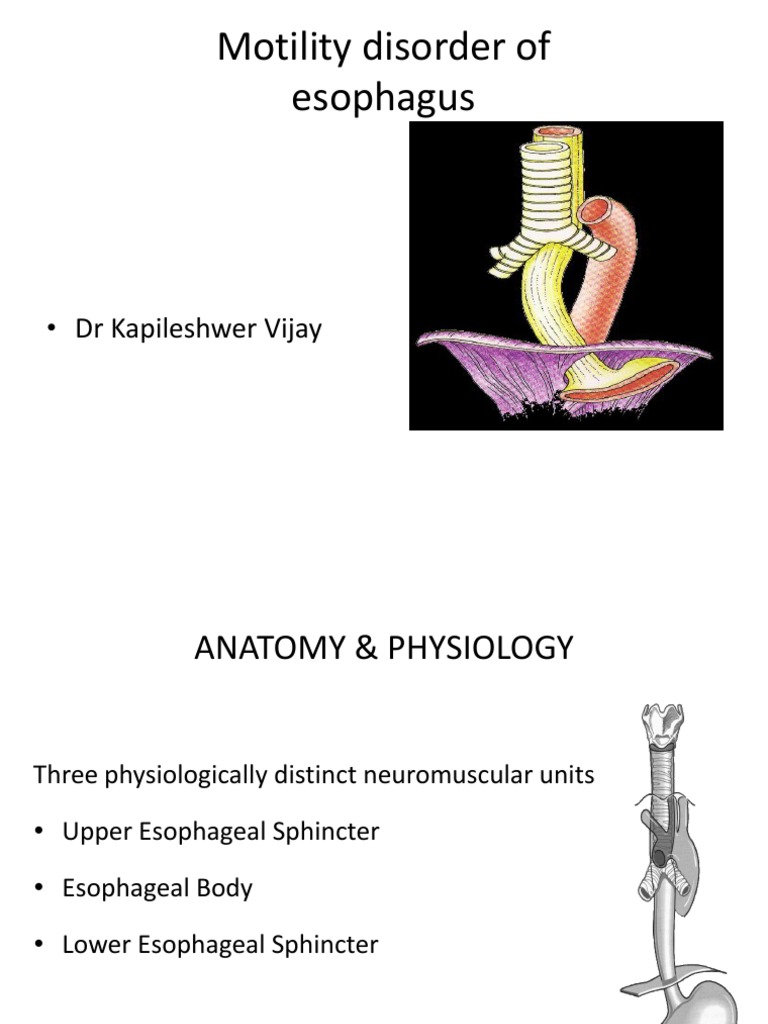 Motility Disorder of Oesophagus | PDF | Esophagus | Digestive Diseases