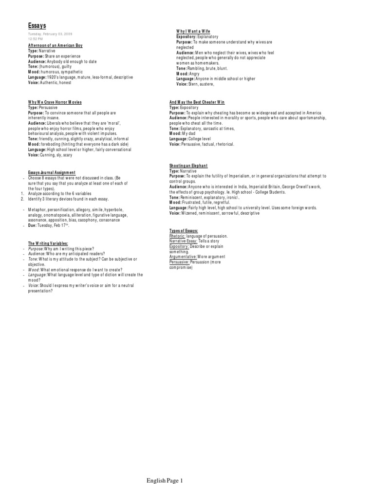 How to start a persuasive essay picture