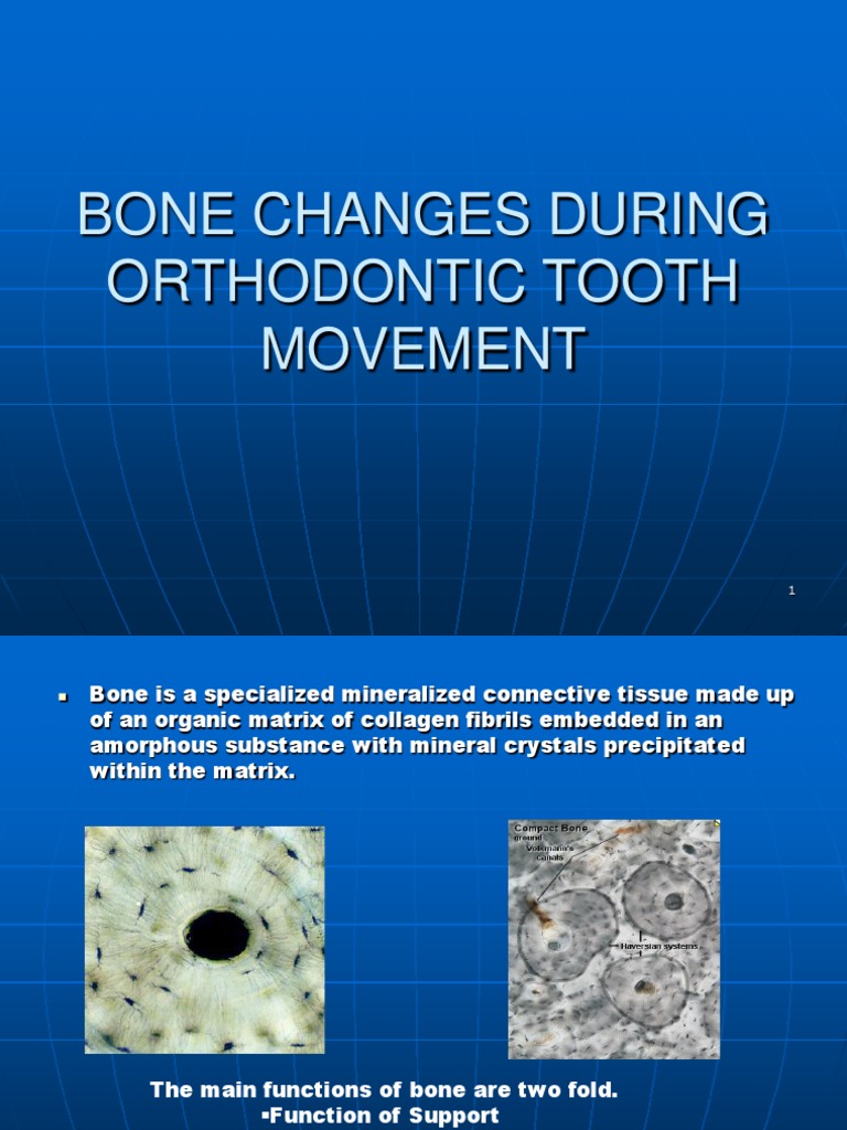 Bone Changes During Orthodontic Treatment | PDF | Bone | Osteoblast