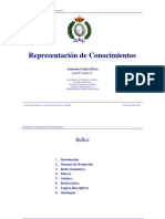 RepresentaciónConocimentos PDF