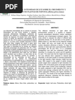 ARTICULO Bidens Pilosa