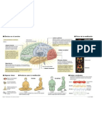 Resumen Meditacion Beneficios
