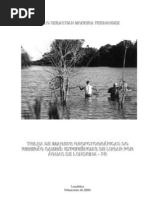 Monografia Pablo 2004