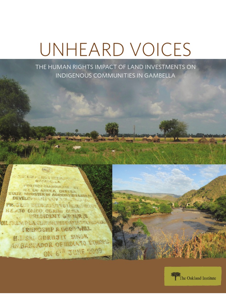Unheard Voices: The Human Rights Impact of Land Investments On ...
