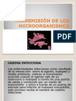 Transmision de Microorganismos