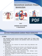 Sistem Peredaran Darah