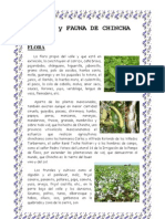 Flora y Fauna de Chincha