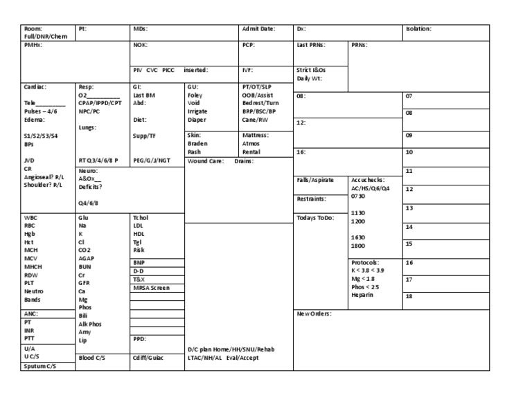 Brain Sheet