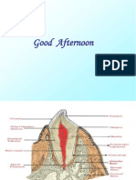 CEMENTUM 