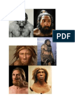 Homo Neanderthalis