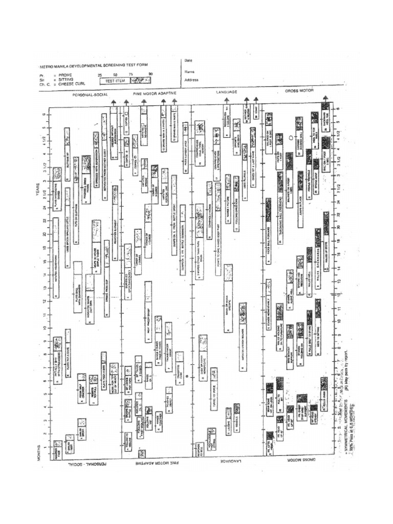 MMDST Form | PDF