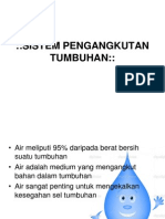 Sistem Pengangkutan Tumbuhan