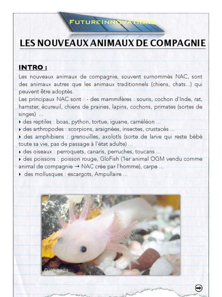Les Nouveaux Animaux de Compagnie (NAC