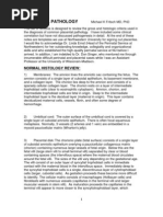 Download Placental Pathology by constantinilie SN124785604 doc pdf