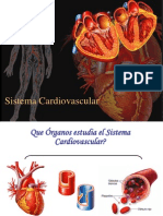 1 Sistema Cardiovascular Nodal