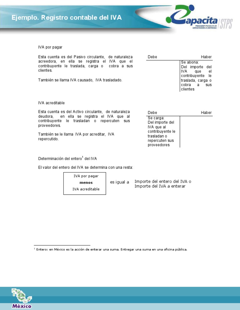 Ejemplo. Registro Contable Del IVA | PDF