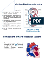 Functional Organization of Cardiovascular System