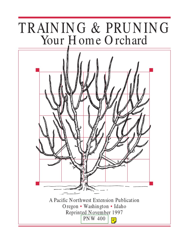 Training and Pruning Home Orchards | PDF | Home & Garden
