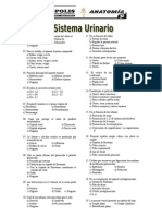 Practica 10 - Sistema Urinario