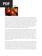 Download Bertanam Tomat Di Musim Hujan by Thabroni SN124823613 doc pdf