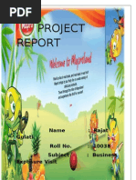 Download Project on Mapro by Ankush Sharma SN124829402 doc pdf
