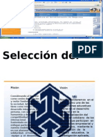 Seleccion Del Personal - Miguel