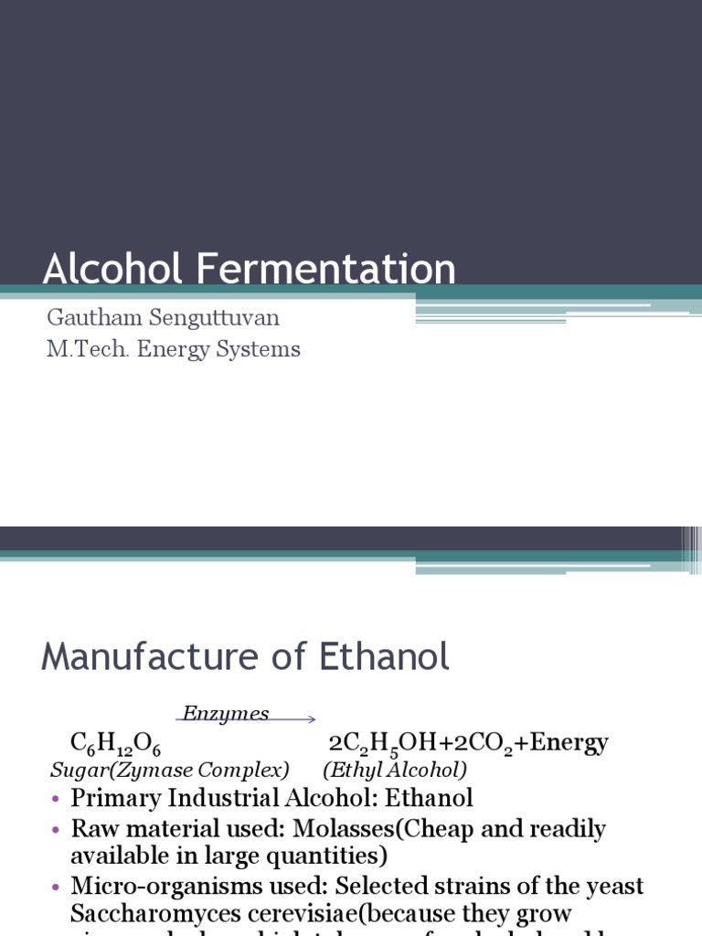 Alcoholic Fermentation Process Overview | PDF | Brewing | Fermentation