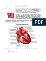 Gambar Anatomi Jantung