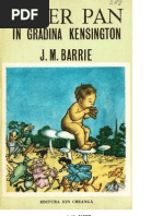 Download Peter Pan in Gradina Kensington by Alin Duta SN124894377 doc pdf