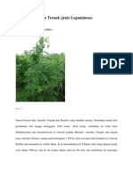 Download Hijauan Makanan Ternak by Rinaldy Manurung SN124899050 doc pdf