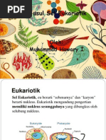 Download Asal-Usul Sel Eukariotik by Muhammad Hawary Izzaturoby SN124899272 doc pdf