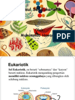 Asal-Usul Sel Eukariotik