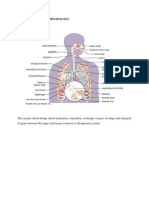 Anatomy and Physiology