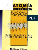 Figun - Anatomía Odontologica Funcional y Aplicada - Virgencitadelospacientes