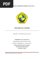 Download Referat Neuroanatomi Ayu Nindya by ayu_sari_14 SN124902964 doc pdf