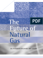 The Future of Natural Gas.pdf